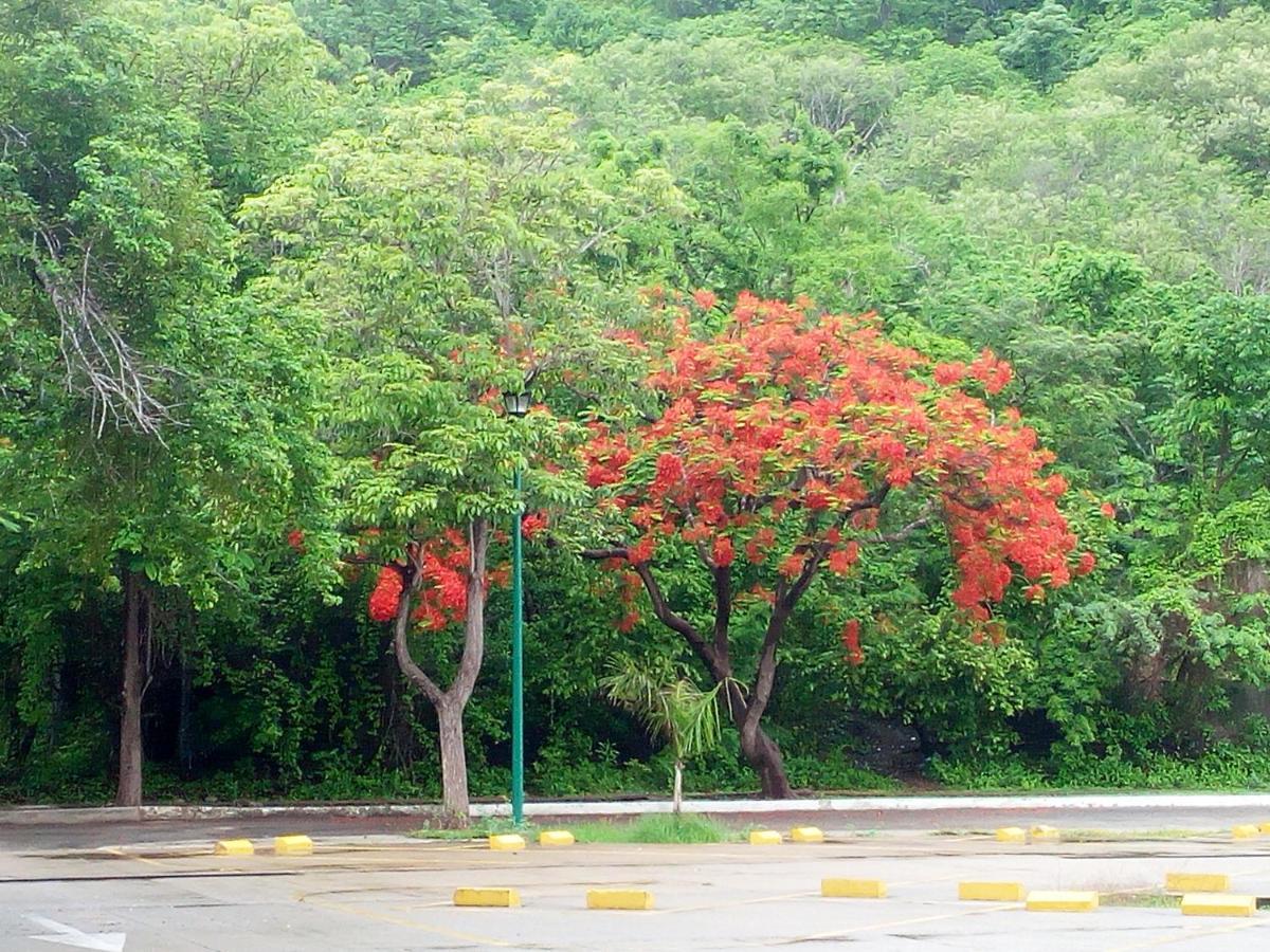 산타크루즈휴에튤코 Camino Al Mar 아파트 외부 사진